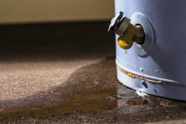 Best Water damage restoration near me  in Elizabethtown, PA