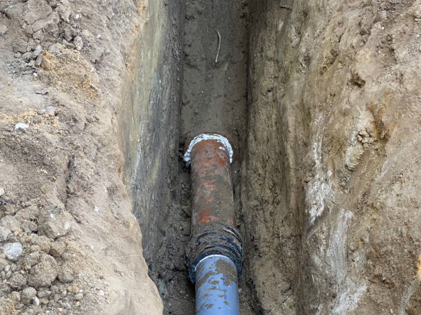 Best Flood damage cleanup  in Elizabethtown, PA