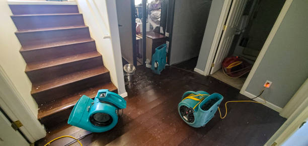 Best Basement water damage restoration  in Elizabethtown, PA