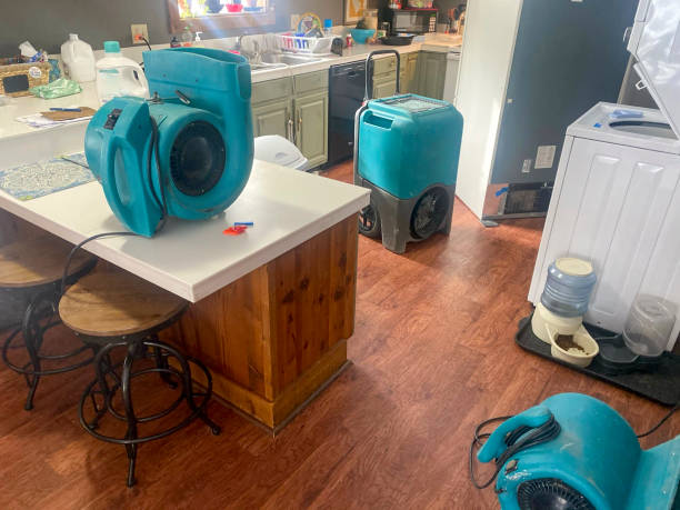Best Ceiling water damage repair  in Elizabethtown, PA