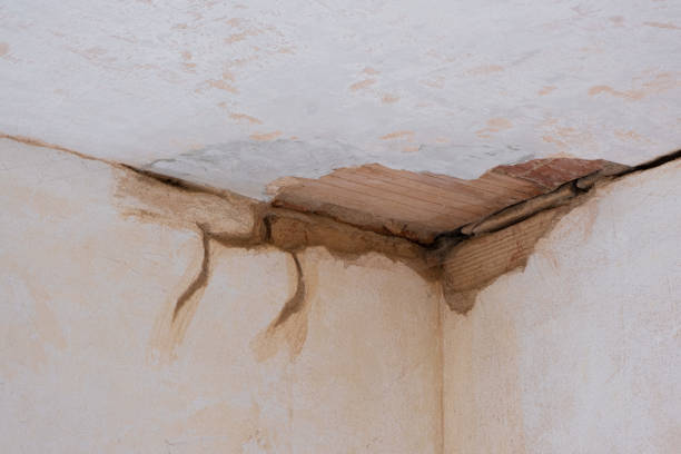 Best Local water damage restoration  in Elizabethtown, PA