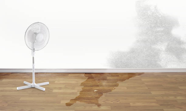  Elizabethtown, PA Water damage restoration Pros