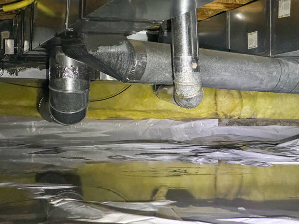 Best Water damage contractors near me  in Elizabethtown, PA